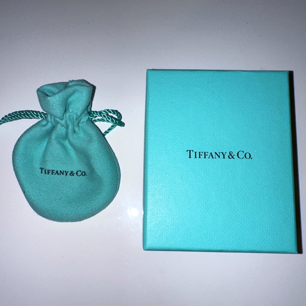 Tiffany & Co Jewelry Box and Pouch